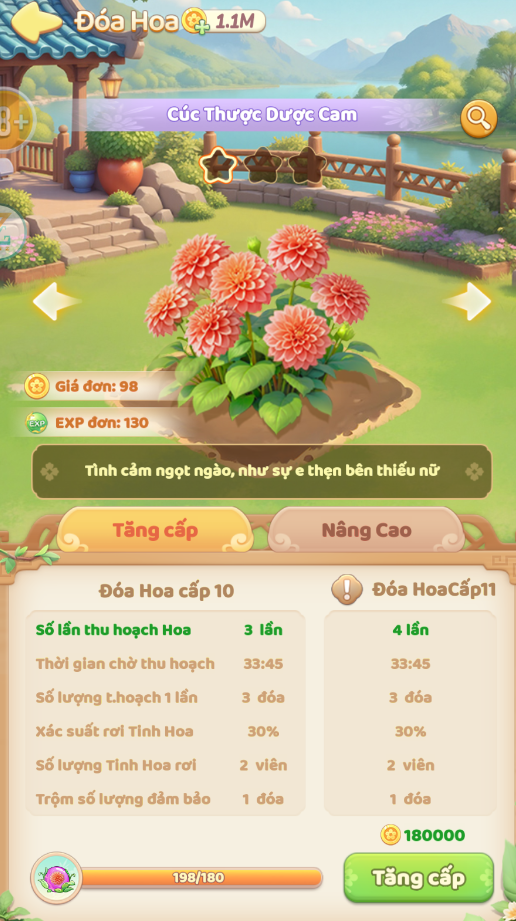 Cúc Thược Dược Cam